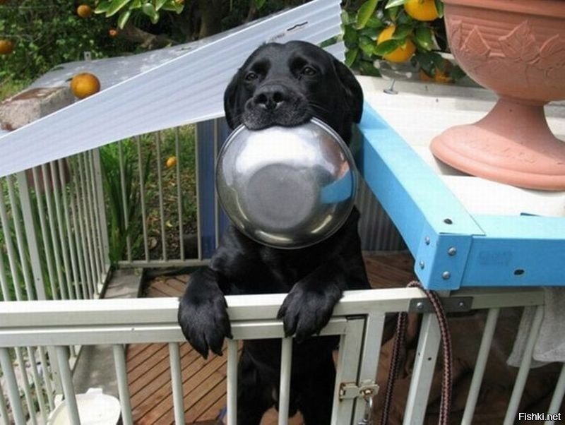 Пора обедать