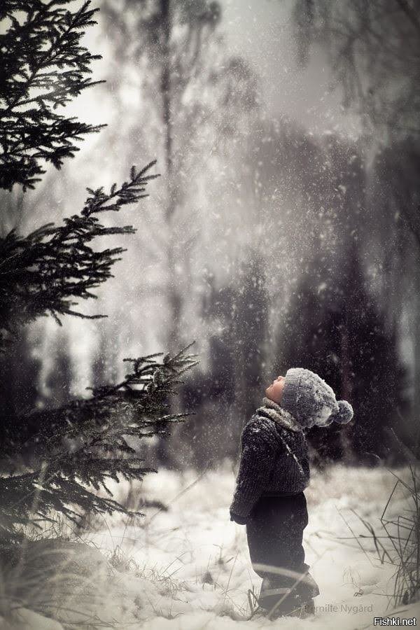 Когда деревья были большими