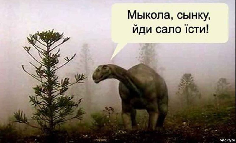 Украинцы изобрели лук, цифры и... английский язык