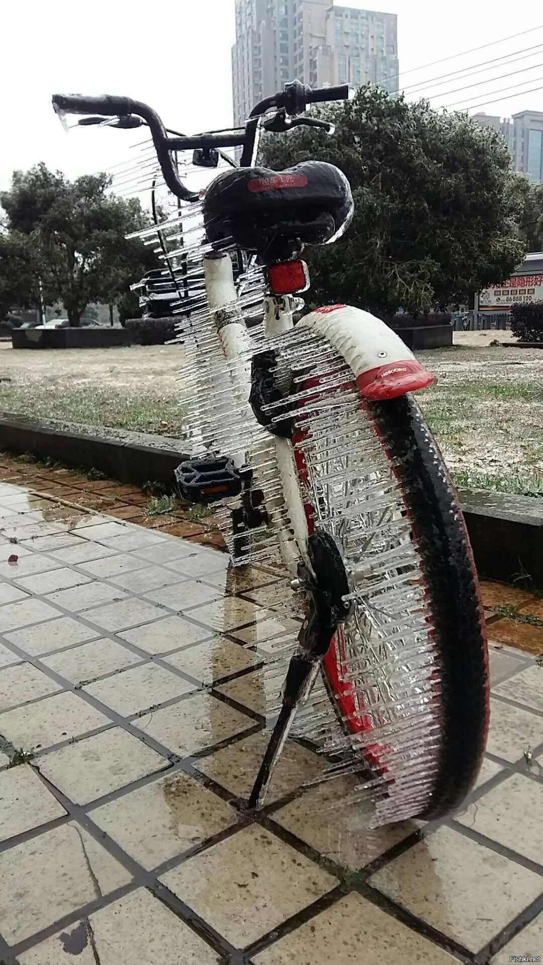 Велик с шипами