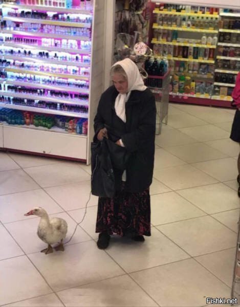 Извини, белый, не прокормить мне на одну пенсию вас двоих