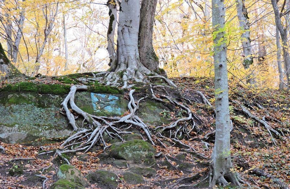 Курортный парк в Горячем Ключе