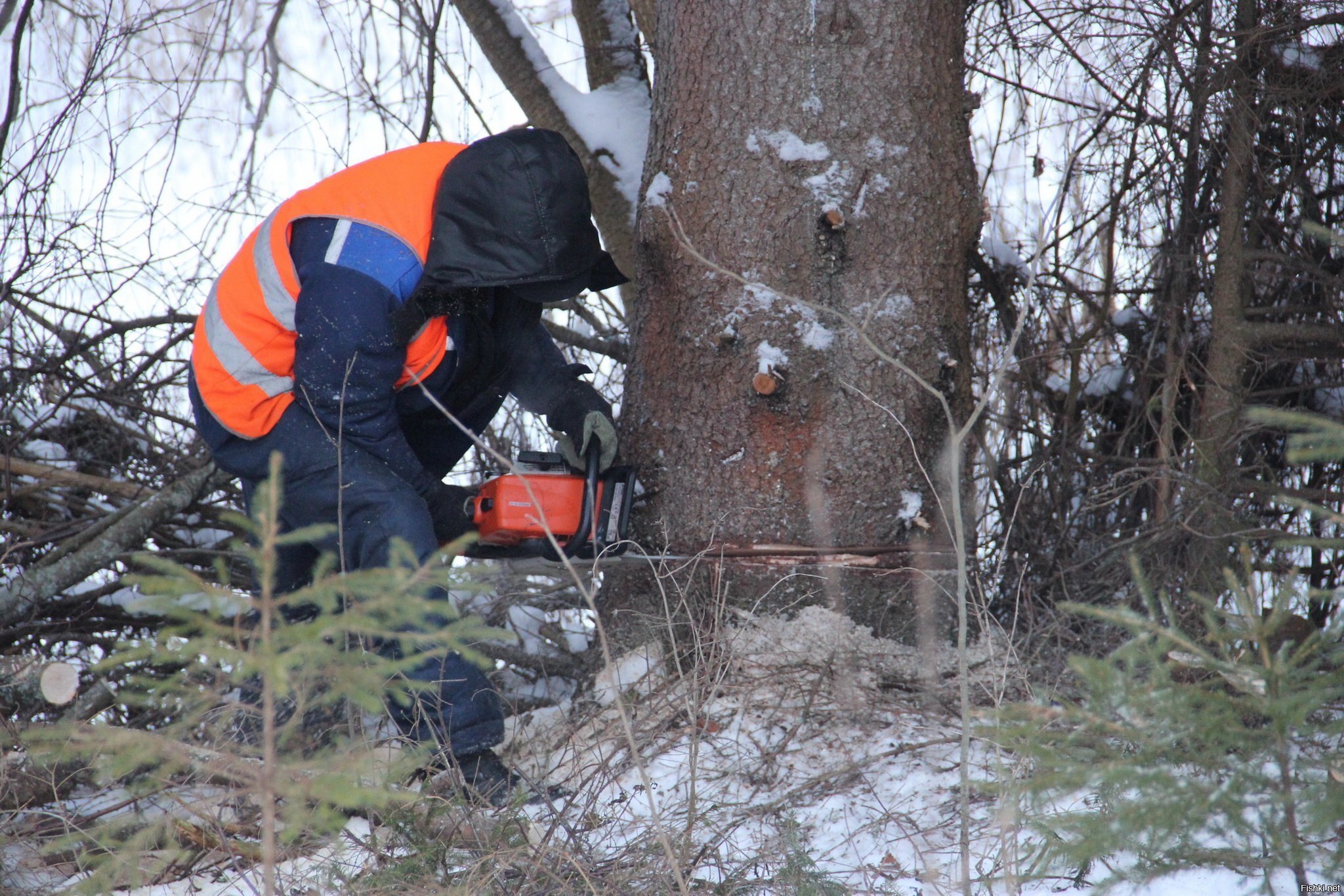 во всех городах страны )))