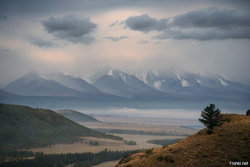 Алтай, Россия