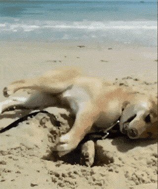 Через несколько лет на другом конце планеты