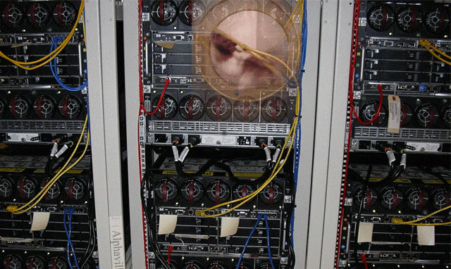 правильная ферма