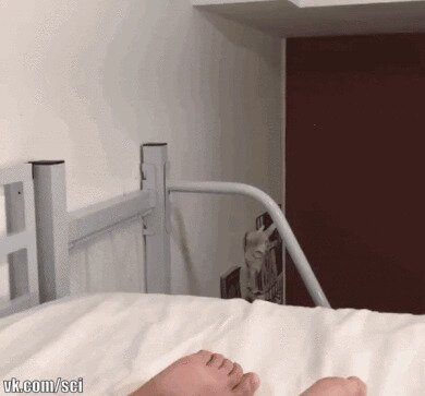 Видали какие усы