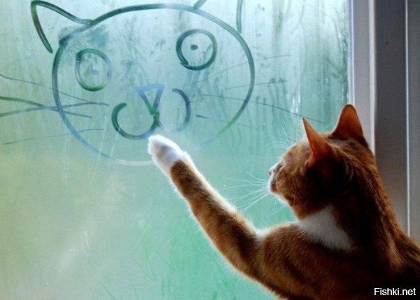 Ну, доброе уже штоле