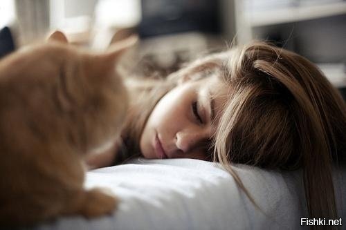 давай, вставай