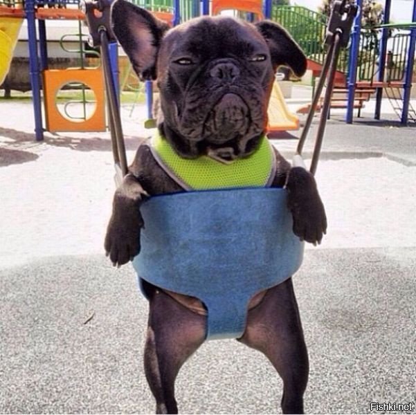 А я ясные дни оставляю себе)