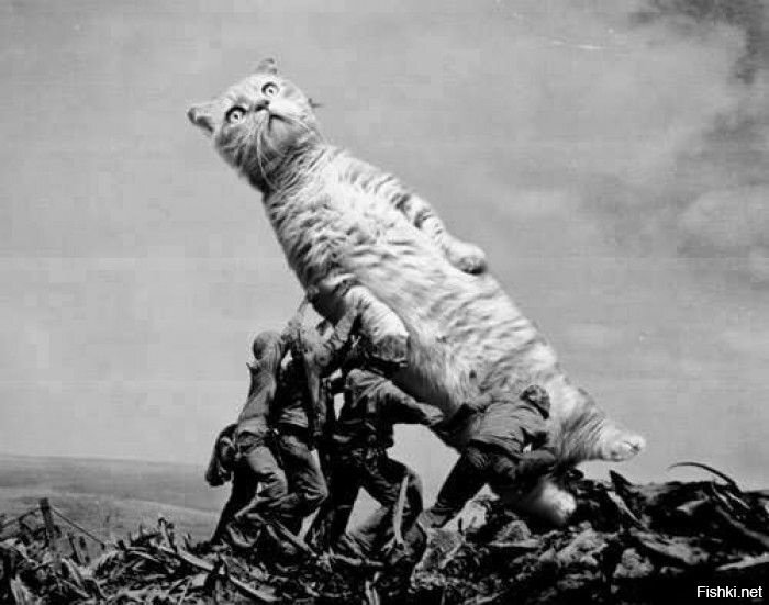 Как это елочки не будет