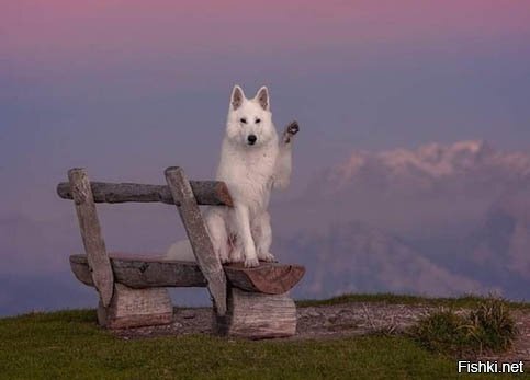 Всем привет