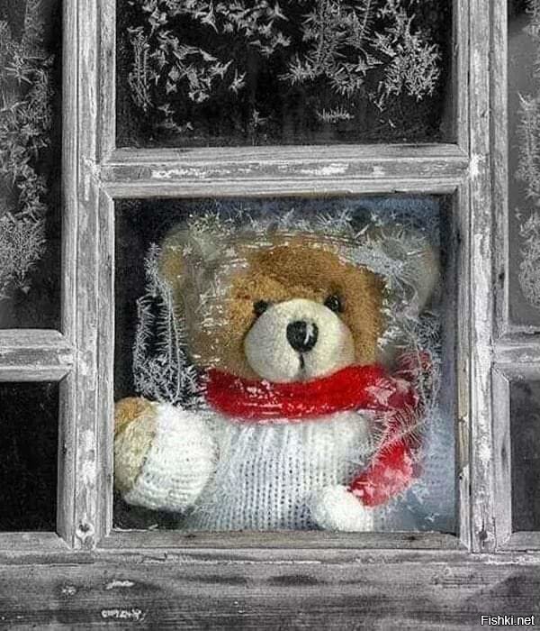 Доброе утро