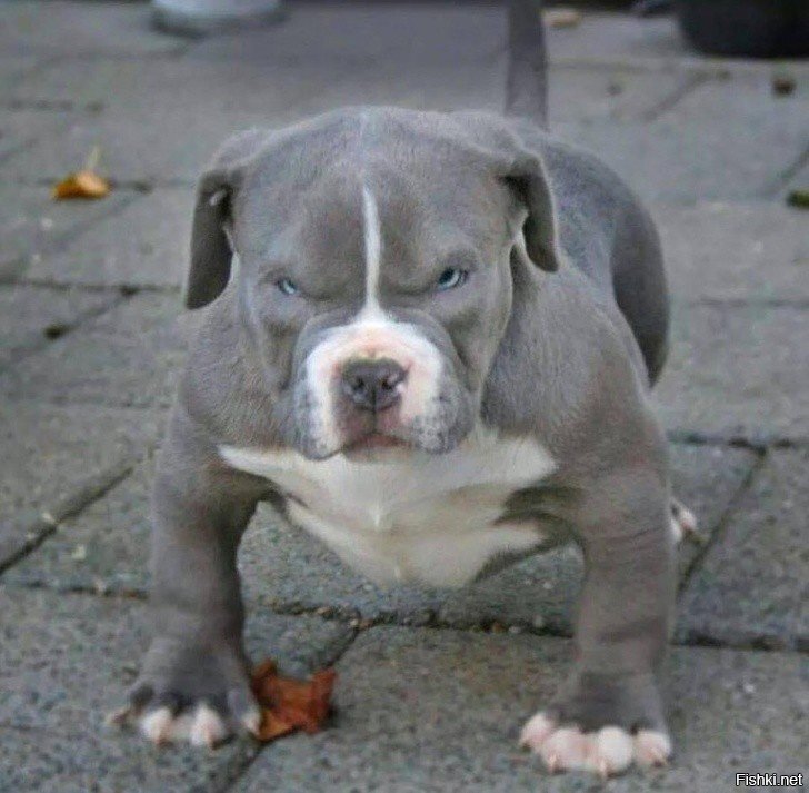 Спасибо Вам родители,что плюнули,да дунули