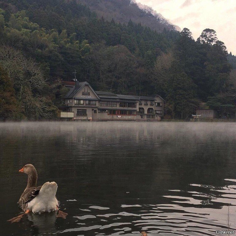 Немного эротики в солянку