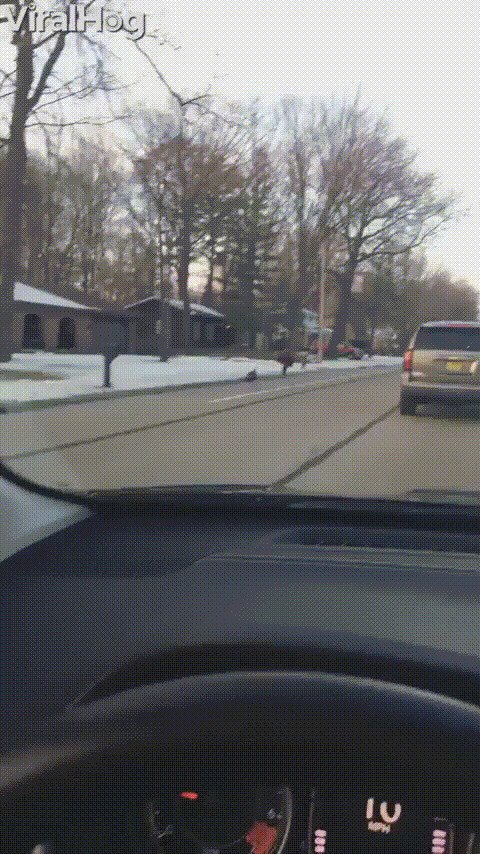 От жеж злобные тварюки