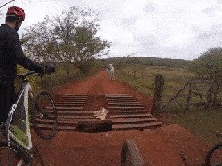 -Аааа, *ля, корова, прости нас, мы больше не будем