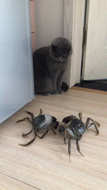 Вы кто такие