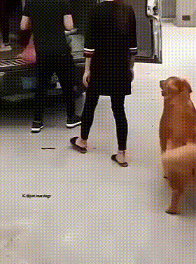 Все ж вместе переехали