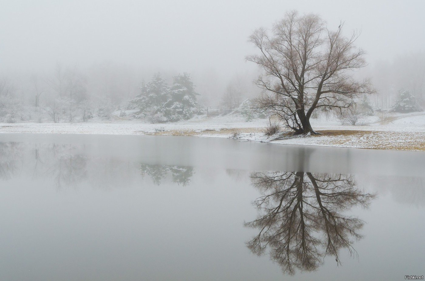 Зима пришла