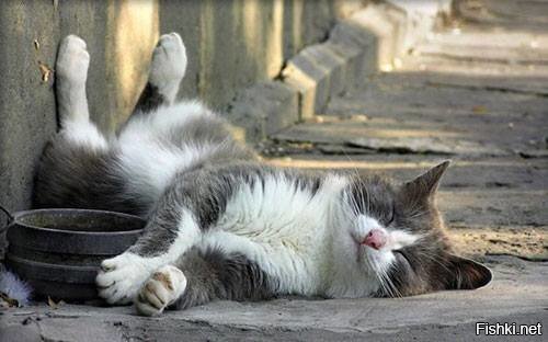 Пятница удалась