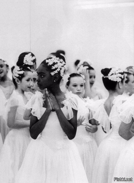 Черный лебедь