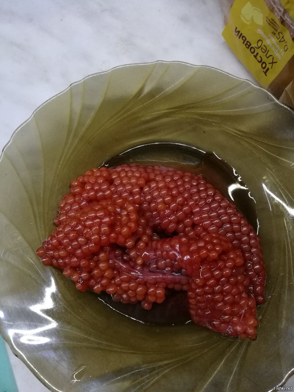 Всрыли рыбку