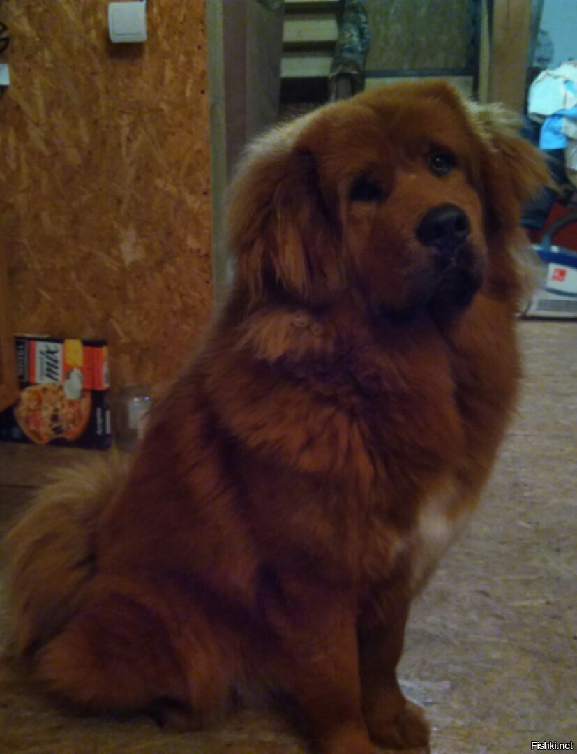 Так на будущее