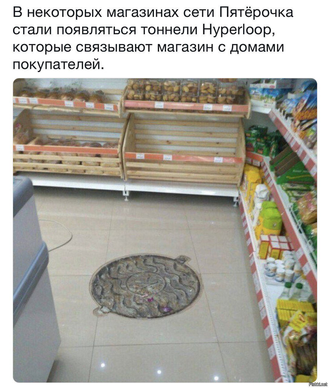 Шах и мат, Илон Маск