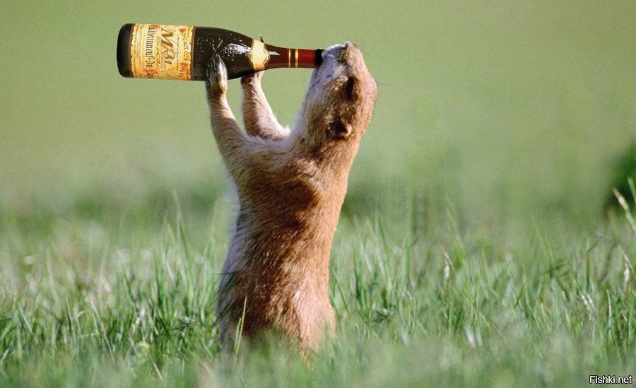 Вечер, пятница