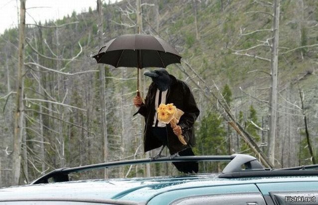 -Мадам, я старый Птиц, и не знаю слов любви