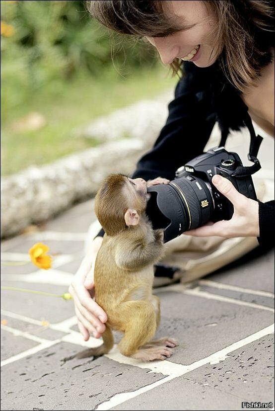 Лёхе Берестенко презентуют фототехнику
