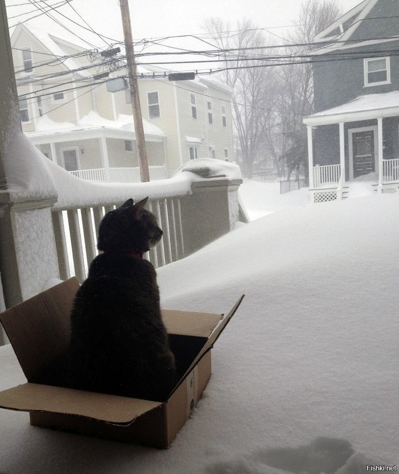 Прелесть какая