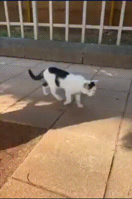 у, допустим, официантом ему точно не быть