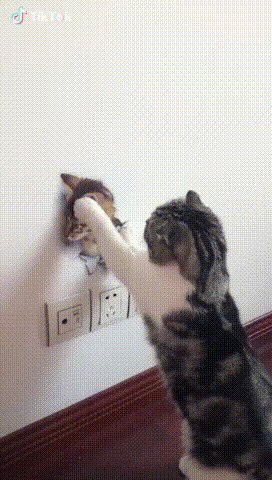 Как же тебя так угораздило