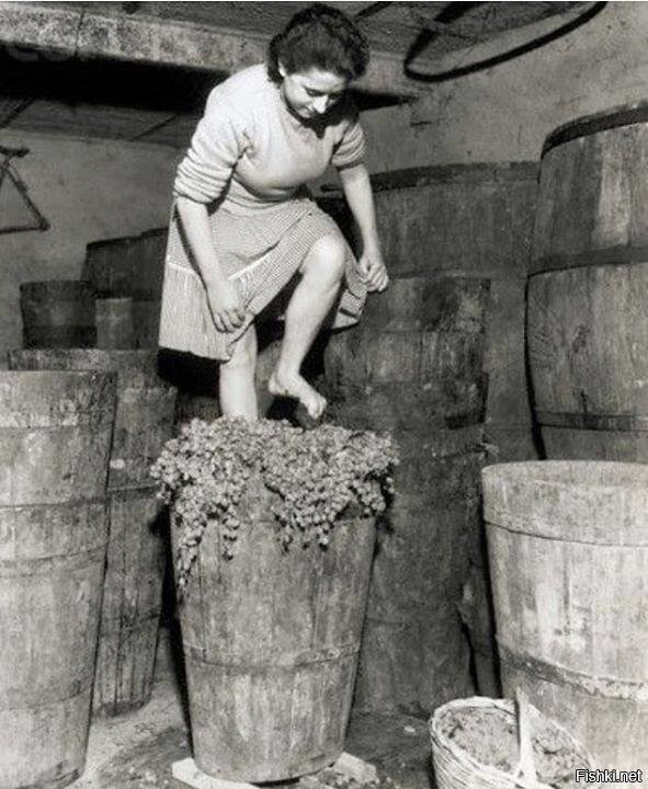 Челентаано…