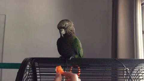 Ты чо мне суёшь