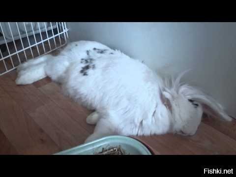 Спокойной всем ночи