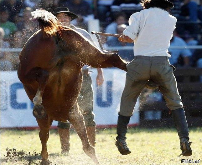 Ковбой - профессия нелёгкая