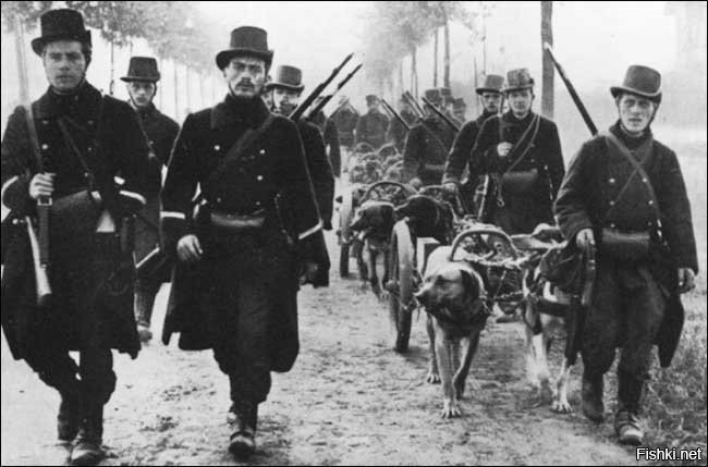 Бельгийские пехотинцы