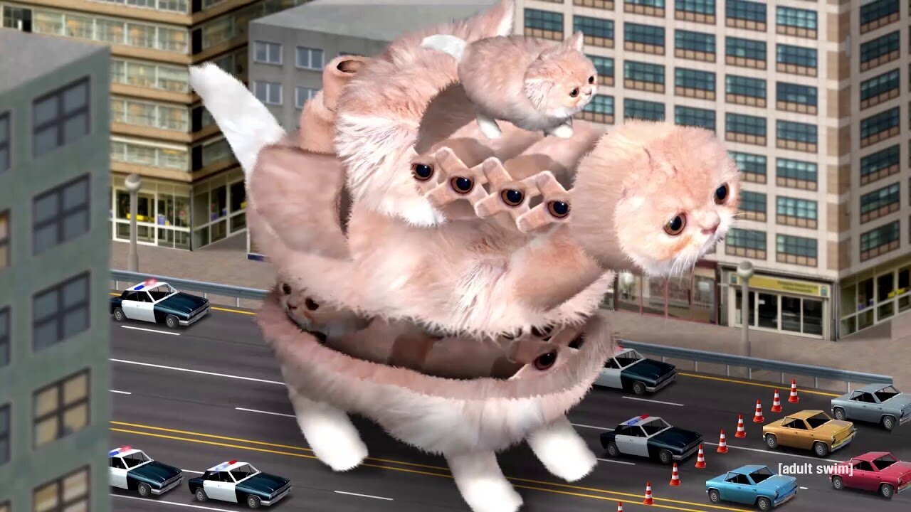 Вот вам, в котиков неверующим