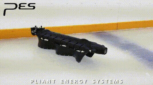 Новая игрушка