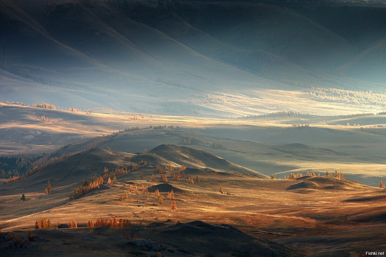 Долина,чудная долина