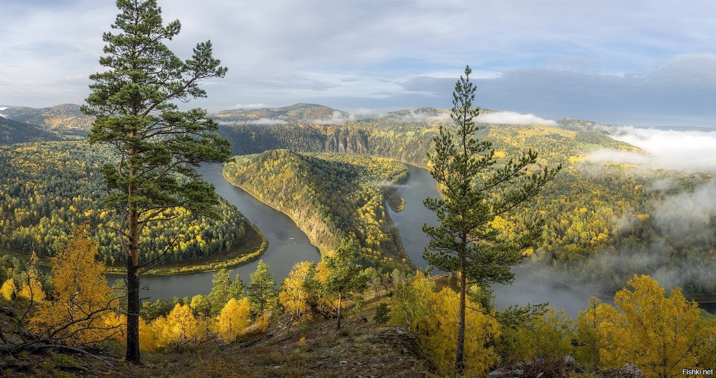 Манская петля