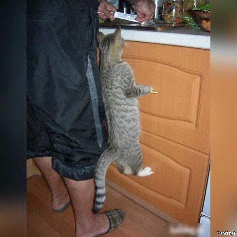 - Че на завтрак