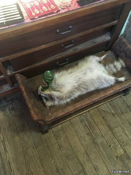 Планы на сегодня