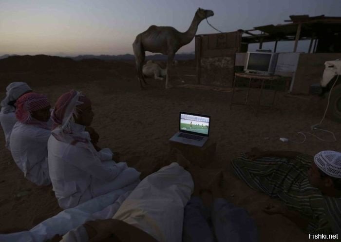 Красиво жить не запретишь