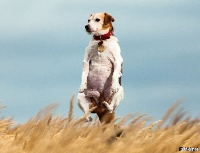 - Ни хера не вижу