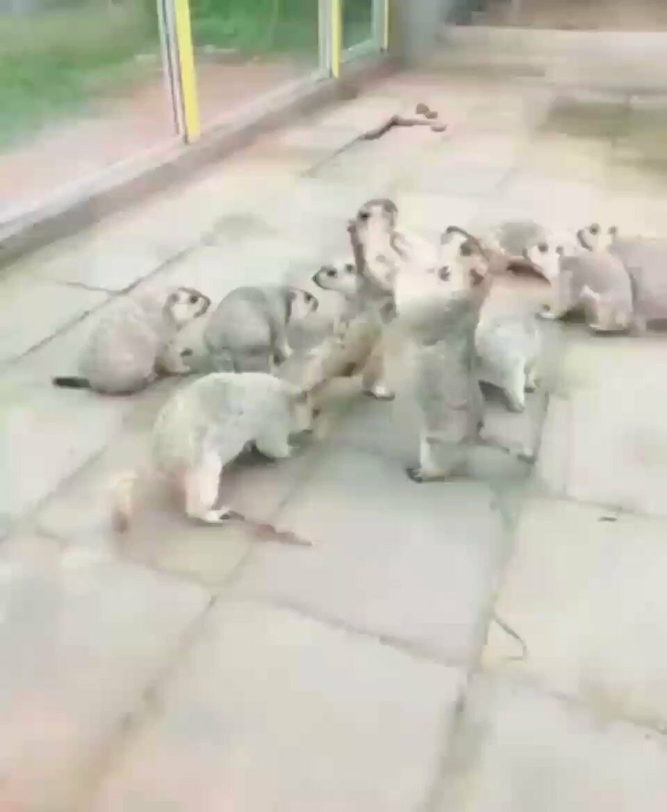 Крутая братва