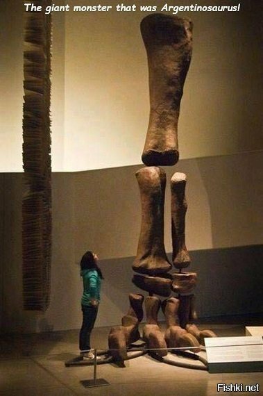 А если бы они не вымерли